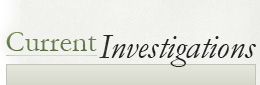 Current Investigations
