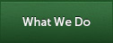 What We Do