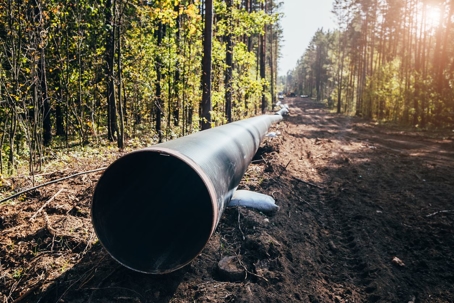 Large diameter steel pipe in a forest clearing