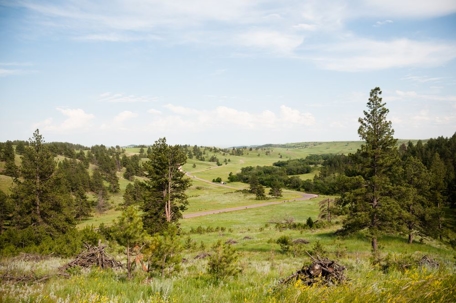 South Dakota Landscape in the Black Hills