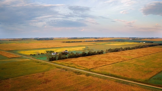 Aerial view of early Fall Farmland in South Dakota