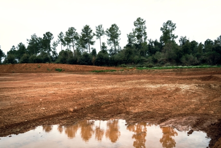 Puddle with reflection of trees on land under construction
