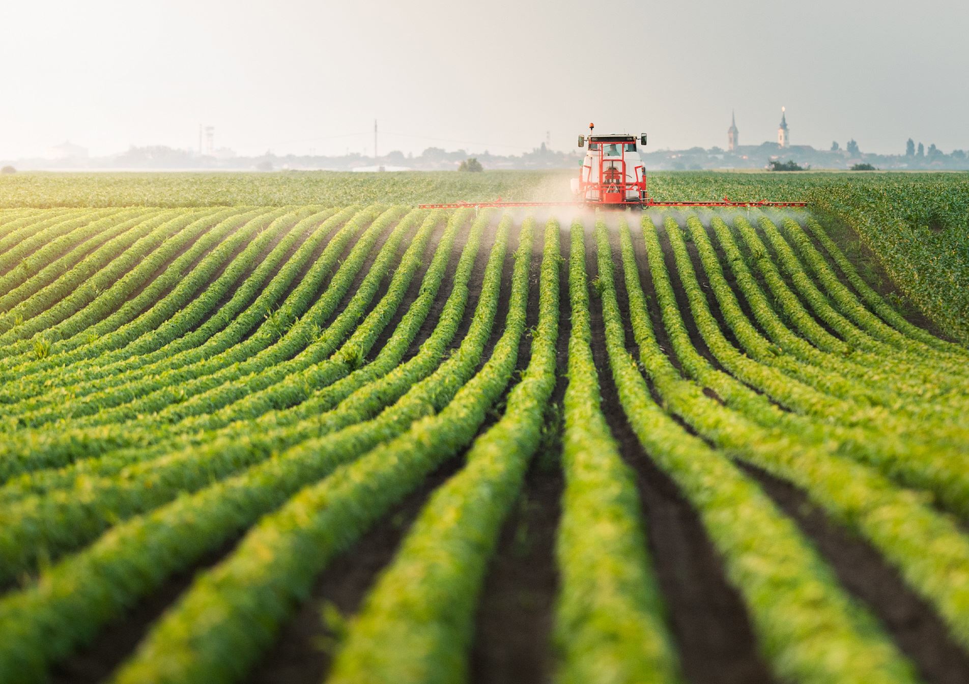 Agriculture Law Cases