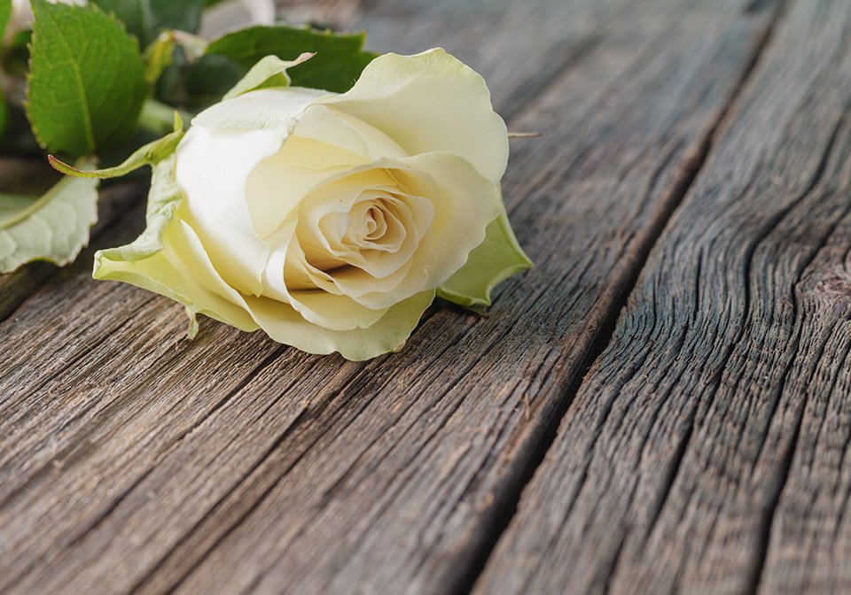 Wrongful Death / Personal Injury